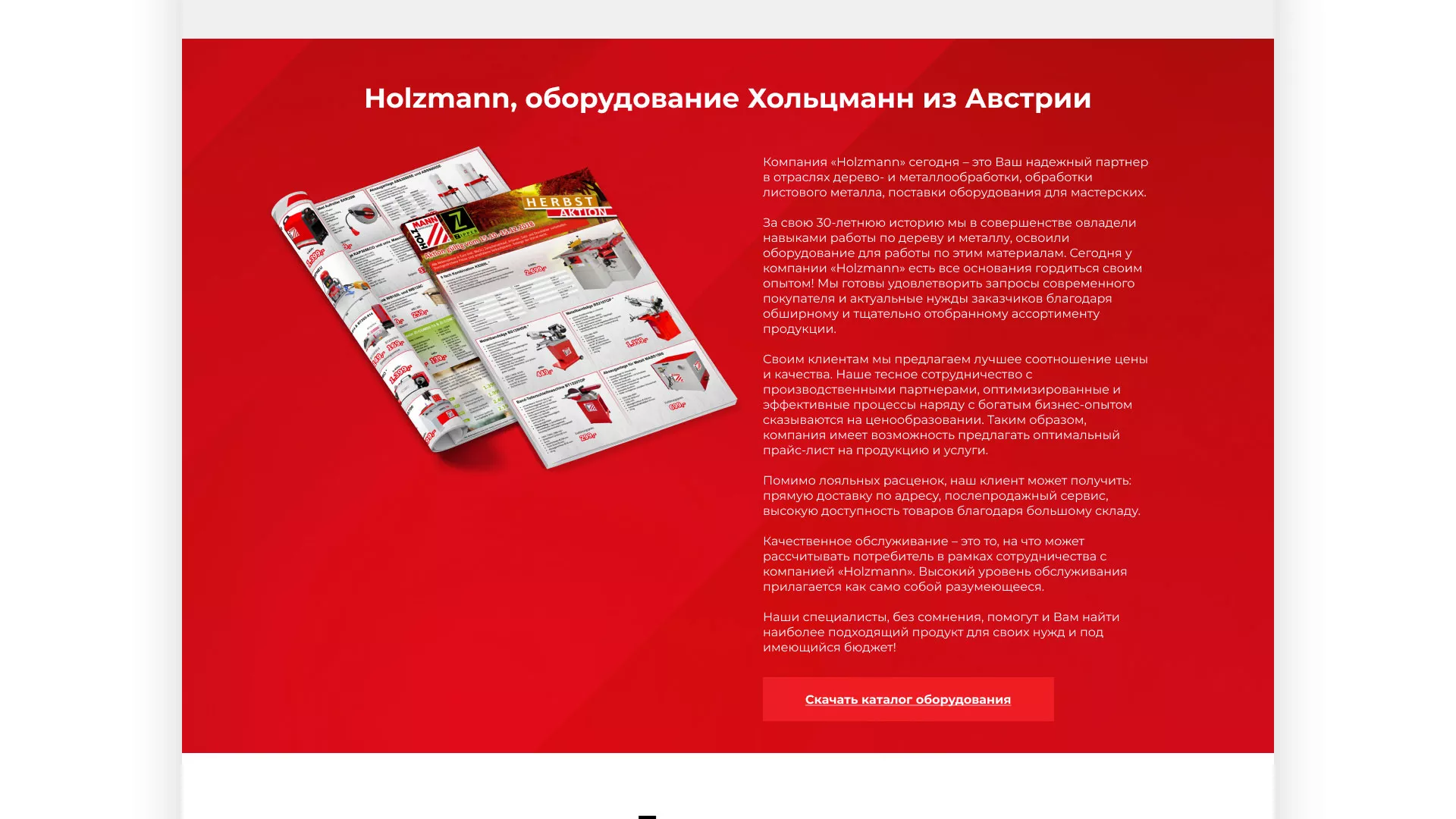 Создание сайта компании «HOLZMANN Maschinen GmbH» в Нюрбе